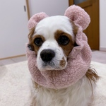 ぬいぐるみに変身できちゃう🧸モコふわスヌード・選べる3カラー