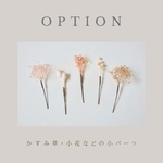 素材別option 〈 かすみ草・ラグラス・ポアプランツ 　小花系パーツ など 中〜小パーツ 〉