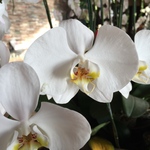 ＊sakura82様＊専用ページ