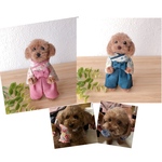 yanagida様専用♡袴わんこ　うちの子オーダー　MII WOOL