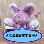 【ご当選者さま専用】たるたにあん（13番）小さい紫の子
