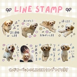 我が子・ペット の LINEスタンプ　simple