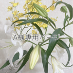 Aさま専用ページ