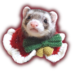 クリスマスのケープ🎅🎄