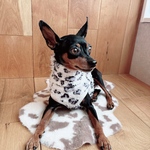 オーダー犬服 レオパードボアタンクトップ 