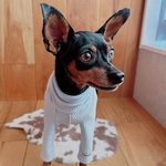 オーダー犬服 W起毛 ふわふわカットソー