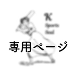 guest K様専用　野球シール追加分