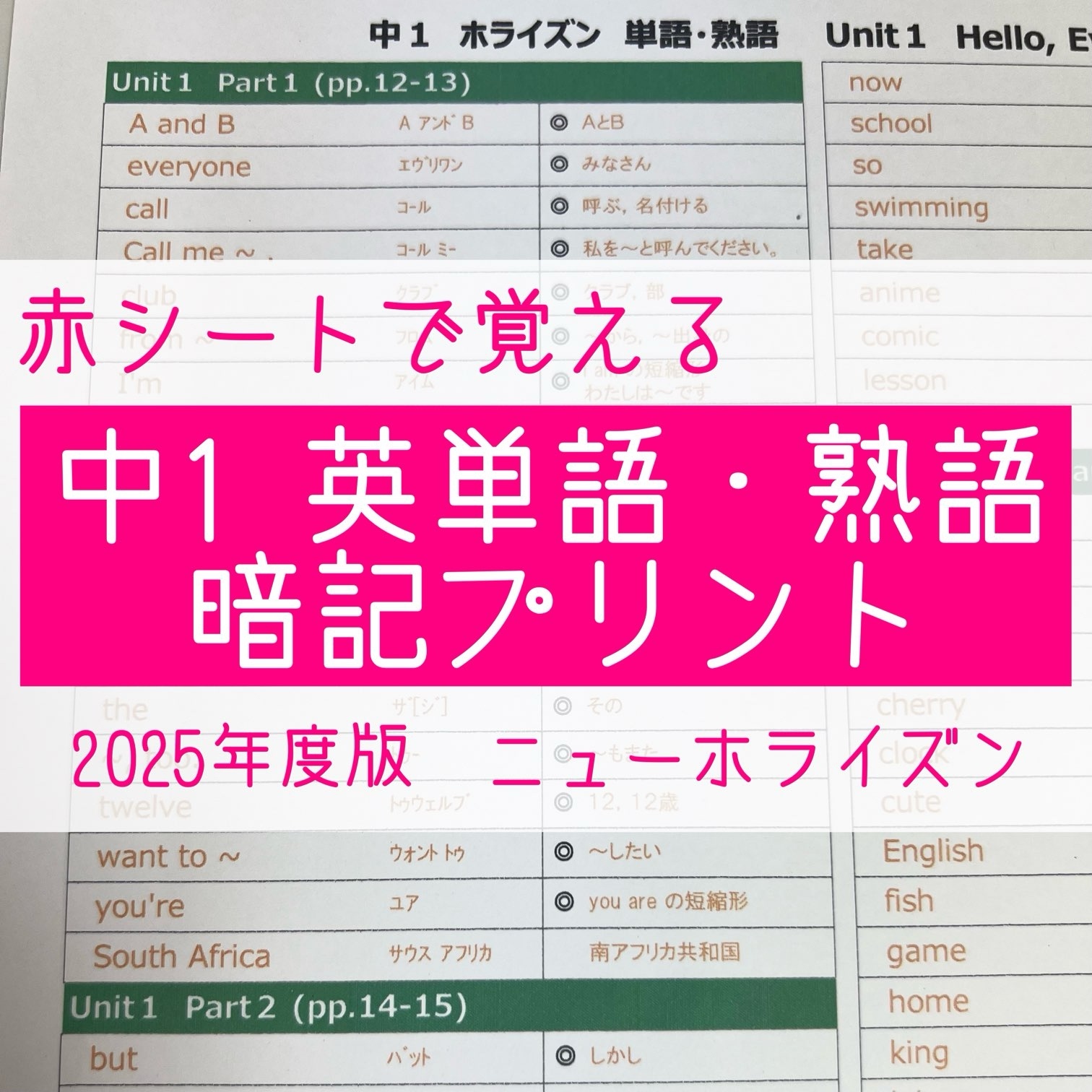 活動歴および当時の関連ビジュアル記録