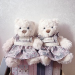 Aprono12Bear🐻‍❄️(white)