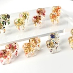 おもしろ　歯　ピアス　サージカルステンレス　アレルギー対応　ボタニカル　花　ドライフラワー　レジン　金箔　HONEY TOOTH  クリスマス　プレゼント　ギフト　春　夏　秋　冬　新作　スタッド　
