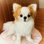 愛犬さんのオーダー　リアル　羊毛フェルト　オーダー　犬　置物　ペット　オーダーメイド　【うちの子オーダー】　メモリアル　チワワ　トイプードル　ダックス　柴犬　パピヨン　ポメラニアン　ヨーキー