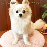 【うちの子オーダー】リアル　愛犬さんのオーダー　羊毛フェルトオーダー　犬　置物　ペット　オーダーメイド犬　ペットロス　チワワ　トイプードル　ダックス　ポメラニアン パピヨン　baophouc