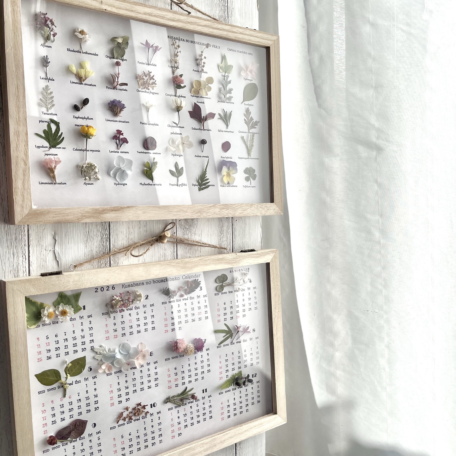 《福袋》壁掛けセット「壁に掛けて暮らしに花のぬくもりを」　〝草花の標本箱〝植物標本とカレンダー2026 ハッピーバック2026 壁飾り　壁掛けインテリア