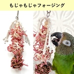 ラフィアでもじもじゃ君