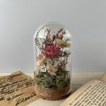 ガラスドームmini〈ワインカラー〉petite fleur