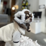 Earmuff(わんちゃん用)