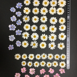 押し花  特別オーダー品 NO.359