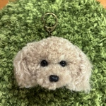 ＊うるうるトイプードル　毛糸キーホルダー＊アプリコット　ベージュ　クリーム　ぬいぐるみマスコット　動物ポンポン　置き物　犬　オーダー　ペット　うちの子
