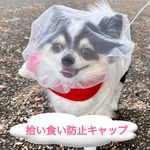 拾い食い防止キャップ ⭐️人気ランキング掲載⭐️ 拾い食い防止ネット 拾い食い防止カバー おまもりネット 誤飲防止 誤食防止 安全 お散歩グッズ 拾い食い 犬服 犬帽子 犬虫除け 犬散歩 犬マズル