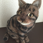 キジトラさん