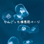《りんごっち様専用ページ》