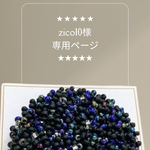 zico10様専用ページ