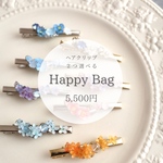 ヘアクリップハッピーバッグ　2026/1/15まで限定販売
