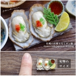 【ミニチュアフード】牡蠣の紅葉おろしポン酢★受注生産品★