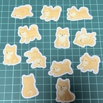 M 柴犬　フレークシール　10枚