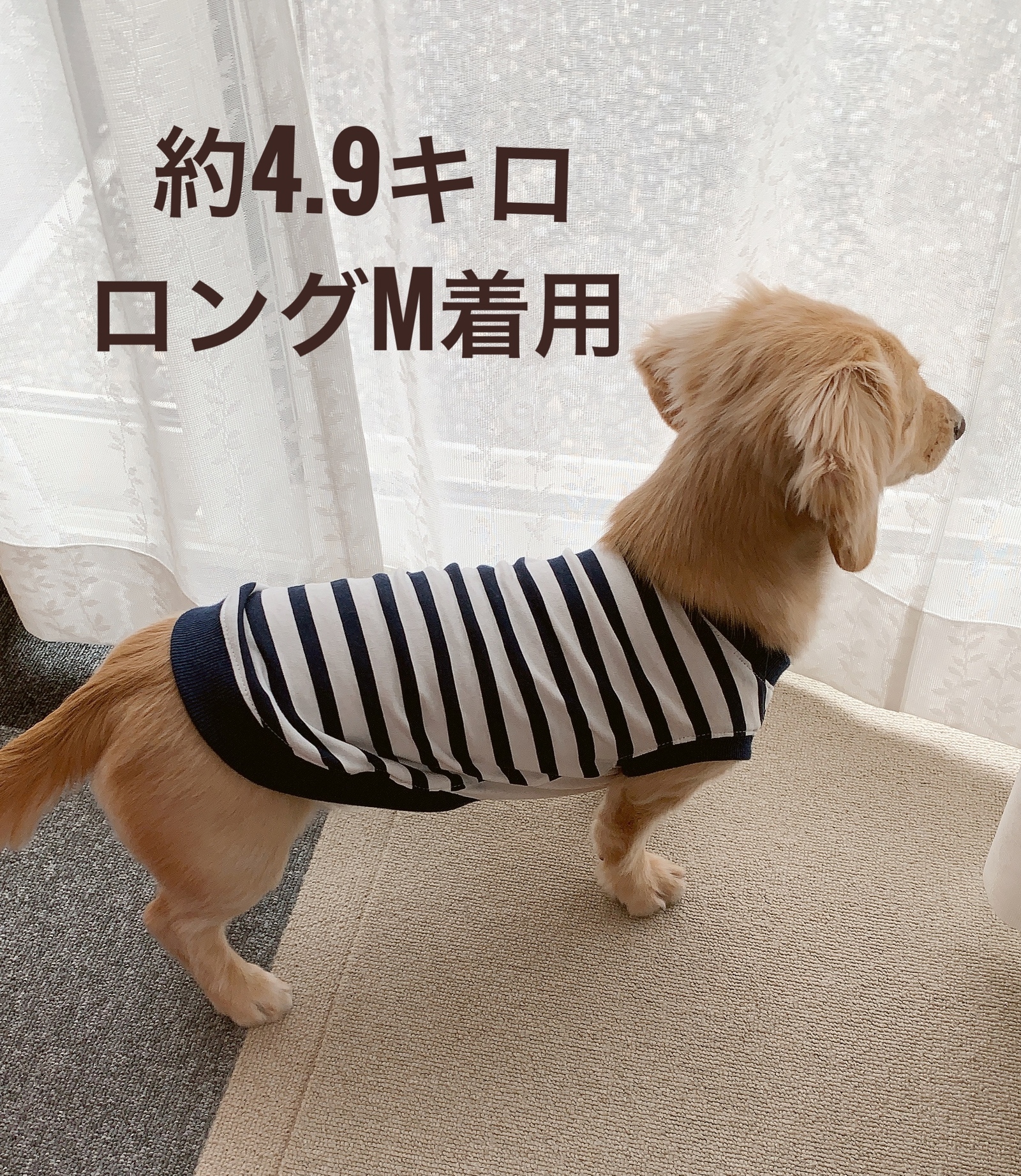 シュナウザーさんのアメコミ風 ロングサイズ タンクトップ シュナ
