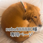 nobu088880 様　専用ページ