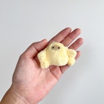 ちいさきnpati(star)