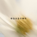 特急お急ぎ制作