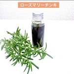 天然アロマ🌿ローズマリーチンキ🌿20ml✖️2