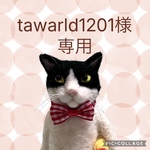 no.398 オーダー品につき、一般の方はご購入できません