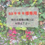 sa※※※様専用ページ