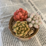 スプリングセール🌸送料無料！樹脂粘土で作った多肉植物　寄せ植え