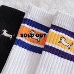 靴下(チワックス)