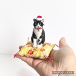 羊毛フェルトの猫（あごちゃん） うちの猫