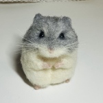 ブルーサファイアちゃん　ハムハム🐹