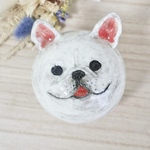 フレブルの小物入れ🐶🐾
