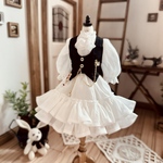 Teeny fairy's Rabbit ＊No.S246-2512
