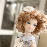 momokodoll CCS23ss カスタム