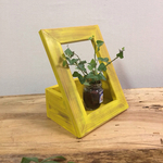 おしゃれな植物の額縁インテリア  フォトフレーム