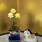 ミニチュアフラワー　水仙の鉢植え