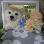 【miho様注文ページ】【羊毛フェルトオーダー】【Ran felt】#うちの子オーダー#ペットロス#愛犬#羊毛フェルト犬#犬