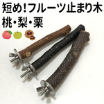 短め！ミニ・フルーツ止まり　りんご 3本セット　