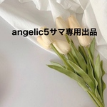 angelic5サマ専用出品