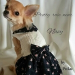 Navy  pritty  rose ウェア[オーダー]