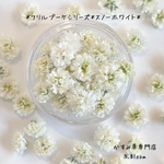 かすみ草　＊スノーホワイト＊　ふりるブーケシリーズ　ドライフラワー　レジン　ヘッドのみ　カスミソウ　カスミ草　花材　青　赤　緑　黄色　ピンク　紫　ラベンダー　かすみ草ドライフラワー　